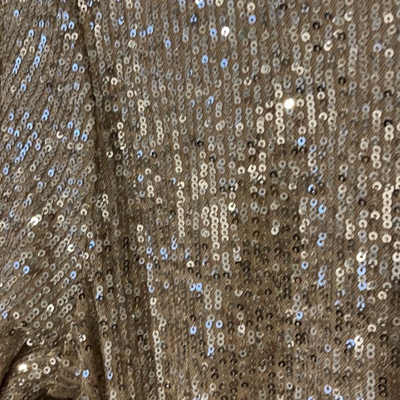 Bohme Blush/Nude sparkle dress. NWT- medium - Picture 5 of 7